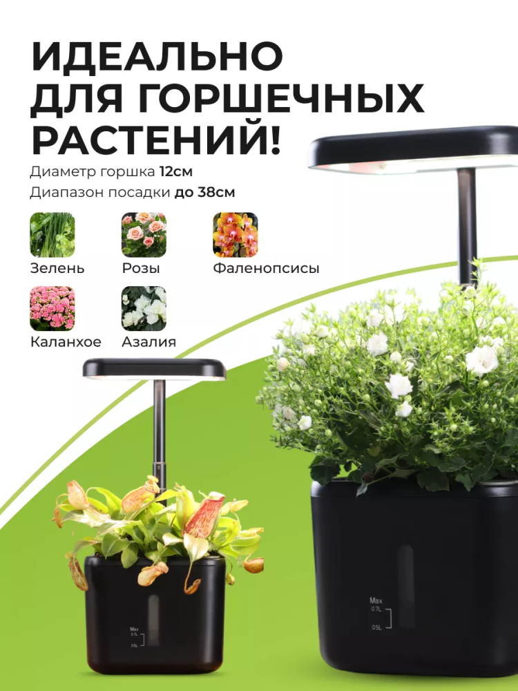 Ферма для выращивания цветов z230-Черный Китай