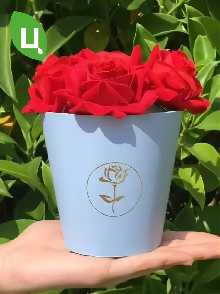 Коробка для цветов без ручка 10.7x10.6cm W9338