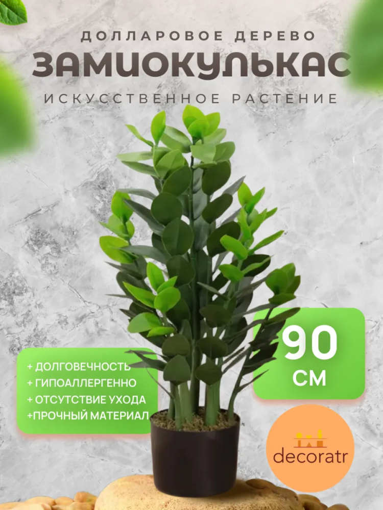 Замиакулькас 90cm DS2021-089 Китай