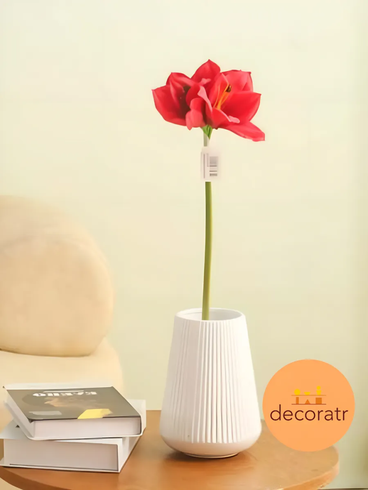 Гиппиаструм 57cm Красный 9172-D02 Китай