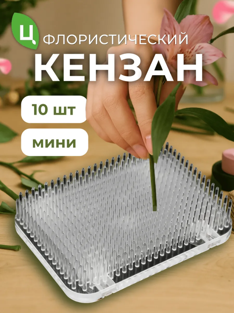 Кензан в упаковке 10 штук Прозрачный 9.3*6.8*3cm P.JS09 Китай