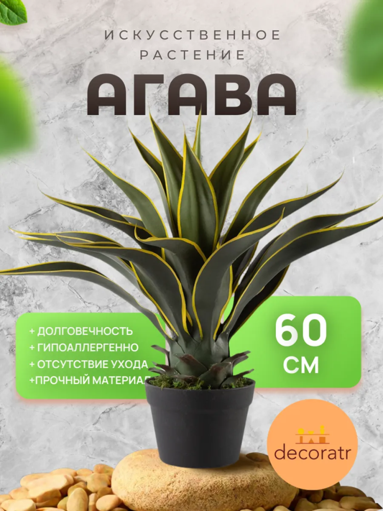 Агава Американская 60cm Зелёный DS2023-425 Китай